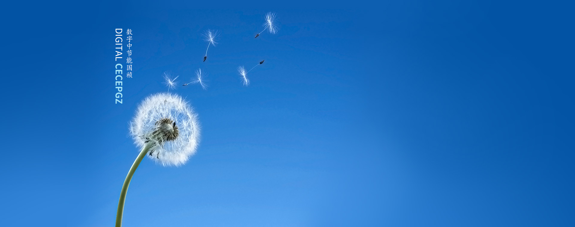 中節(jié)能國禎環(huán)?？萍脊煞萦邢薰? />
            <div   id=