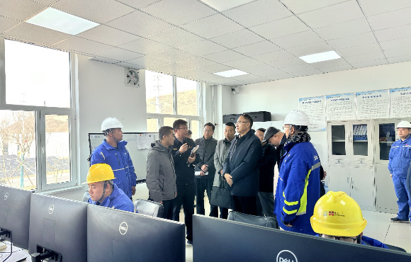 青海省生態(tài)環(huán)境廳黨組書記、廳長湯宛峰調(diào)研麥王項目