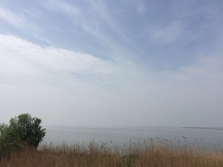 國禎環(huán)保-快樂國禎環(huán)湖毅行沿途風景